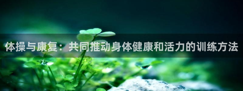 杏耀测速登录地址
