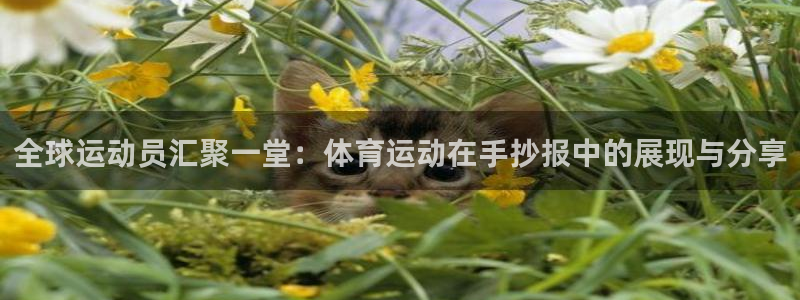 杏耀注册官网