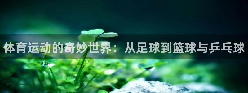 杏耀官网注册