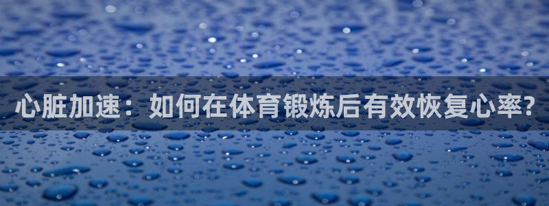 杏耀体育平台登录入口