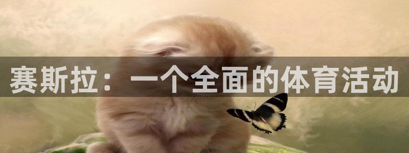 www.杏耀体育.com