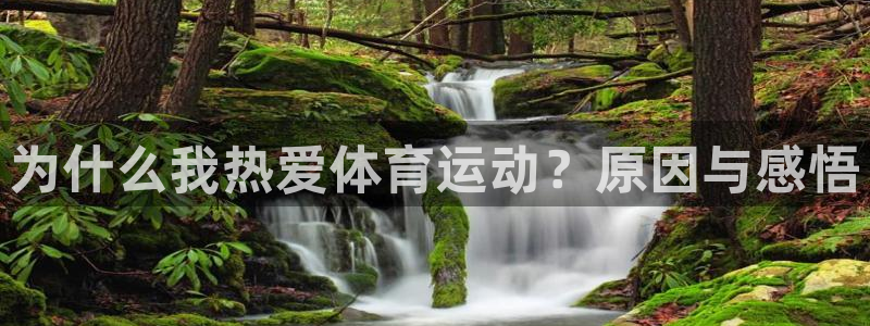 杏耀注册平台