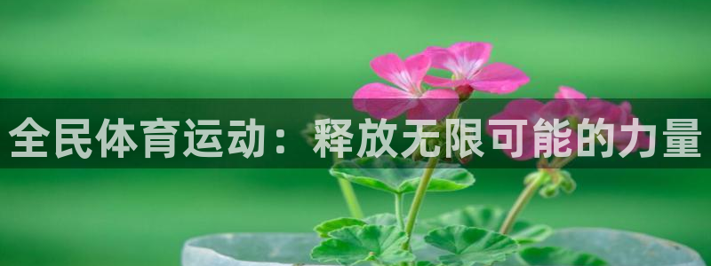 杏耀平台登录