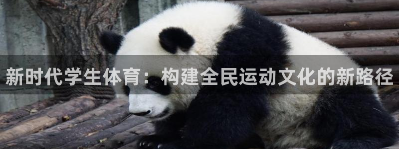 杏耀体育免费注册入口