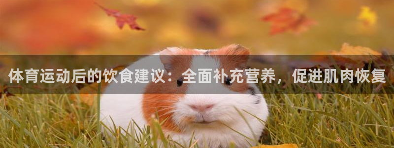 杏耀3官网
