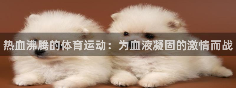 杏耀凯捷注册