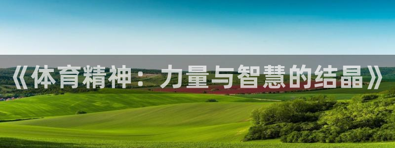 杏耀2代理注册