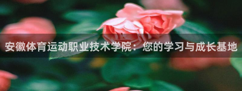 德国杏耀集团