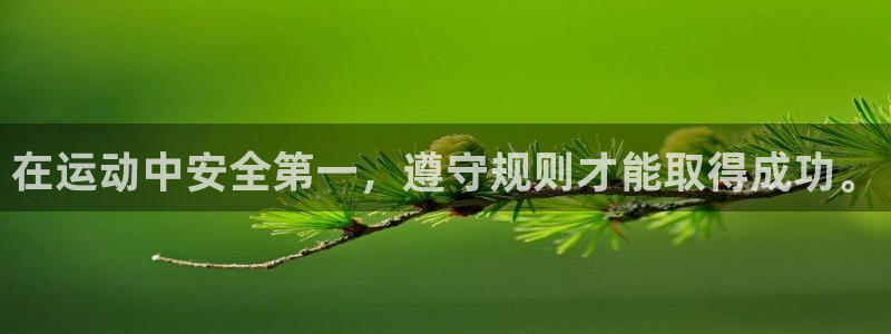 杏耀平台开户链接
